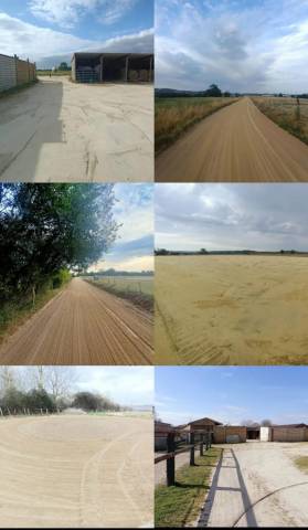Location et pension chevaux 