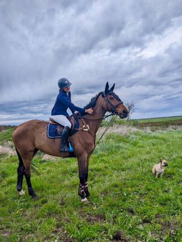 Cheval pour retraite sportive