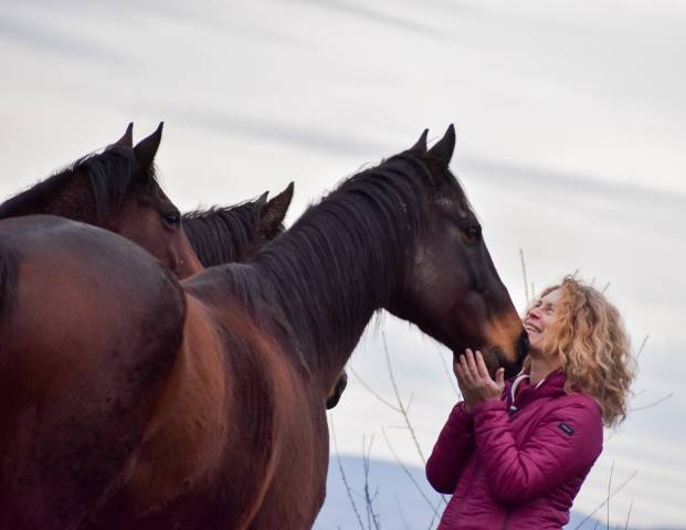 Partenariat pour ENSEIGNANT D' EQUITATION