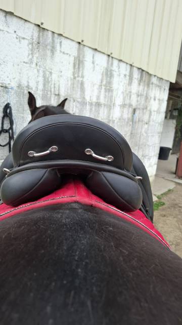 Selle de dressage 17,5