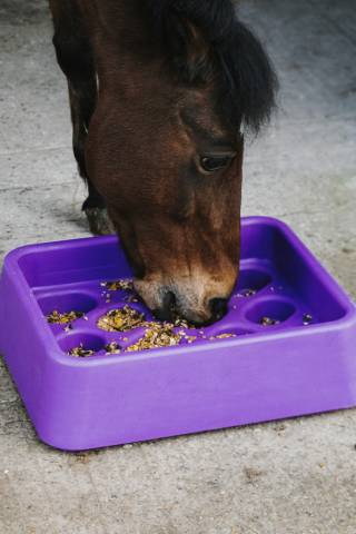 Mangeoire anti-glouton - Hippotonic