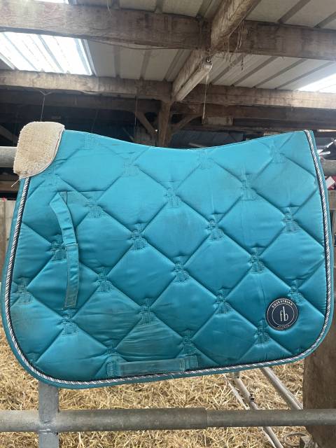 Ensemble, tapis, bonnet bleu, Félix buhler 