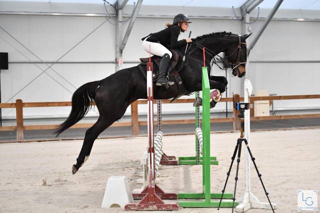 Top cheval 