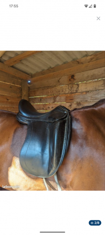 Selle dressage Childeric