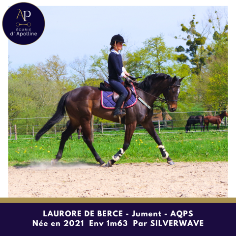 Belle AQPS 4 ans bon mental beau modèle