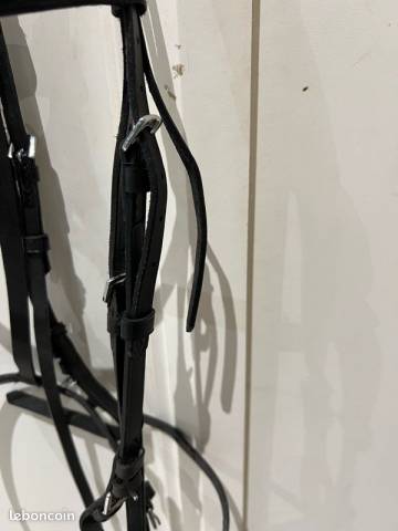 Filet taille cheval en cuir noir 