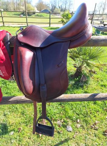 Selle dressage cwd