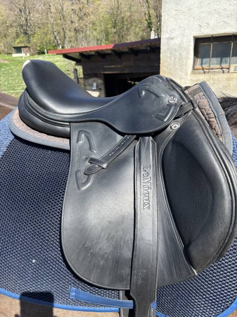 Selle prestige Michel robert