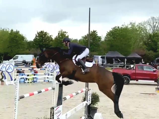 Poulinière 10 ans