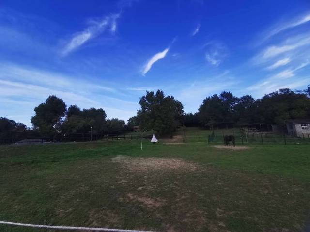 Pension chevaux 