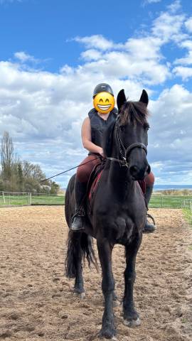 Top Cheval polyvalent  à prendre en DP ou à vendre 