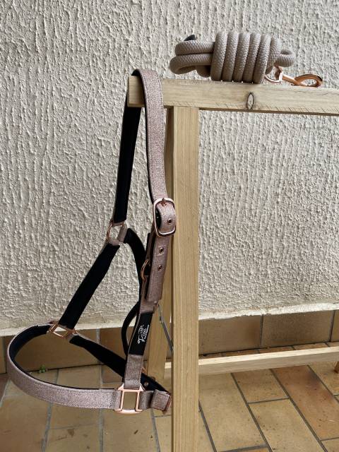 Licol CDG Horse equipment