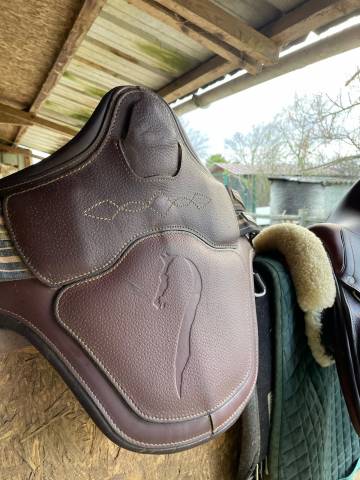 Selle monoquartier ANTARES 