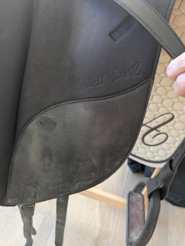 Wintec Isabell Werth cair 17"