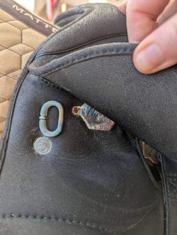 Wintec Isabell Werth cair 17"