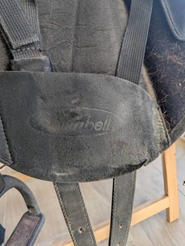 Wintec Isabell Werth cair 17"