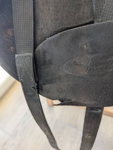 Wintec Isabell Werth cair 17"