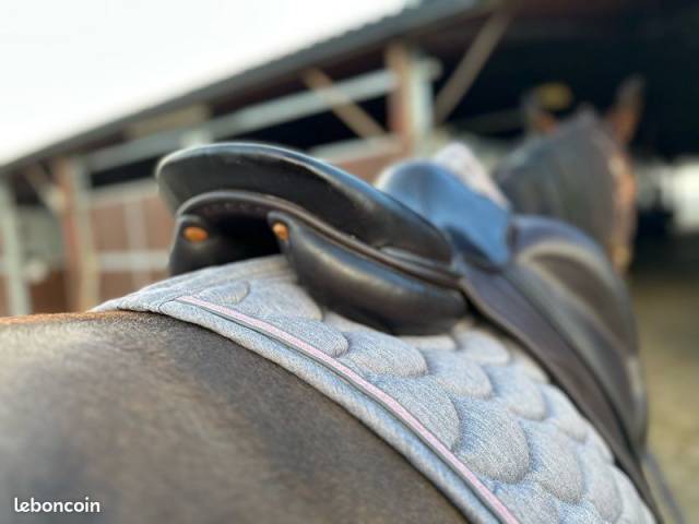 Selle de dressage Butet 17''n siège semi plat