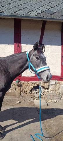 Mandlyx Love 4 ans 