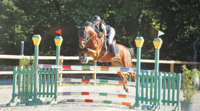 Cheval de sport 