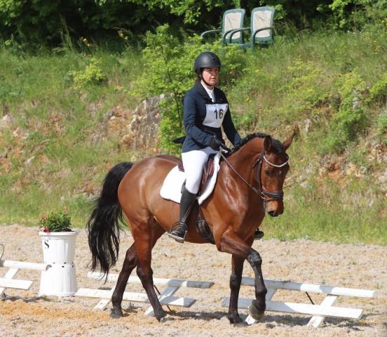 Cheval loisir 