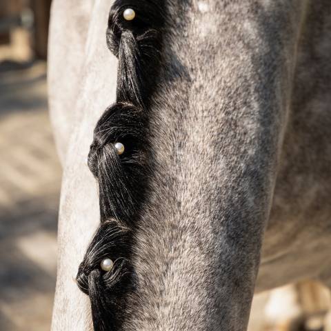 Perles blanches pour pions - qhp - bijoux de crini&egrave;re
