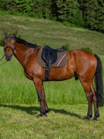 Tapis de selle Stanford DRESSAGE TOMMY HILFIGER