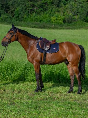 Tapis de selle Harvard MIXTE TOMMY HILFIGER