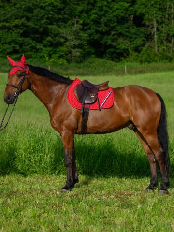 Tapis de selle Stanford MIXTE - TOMMY HILFIGER