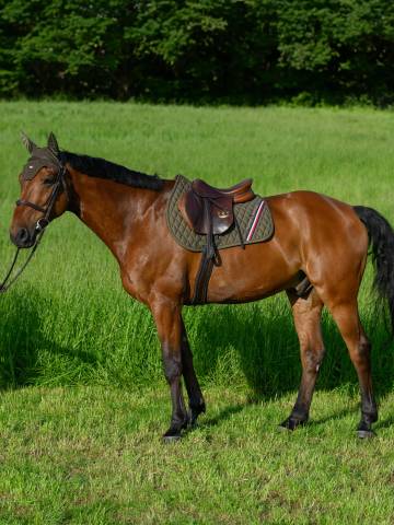 Tapis de selle Stanford MIXTE - TOMMY HILFIGER