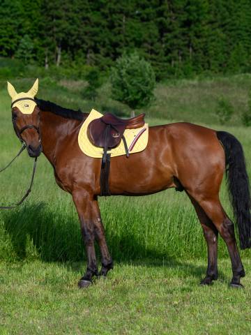 Tapis de selle Stanford MIXTE - TOMMY HILFIGER