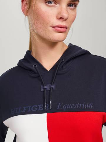 Sweat à capuche logo Berkshire unisexe Tommy Hilfiger