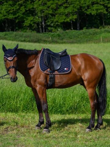 Tapis de selle Princeton DRESSAGE Tommy Hilfiger