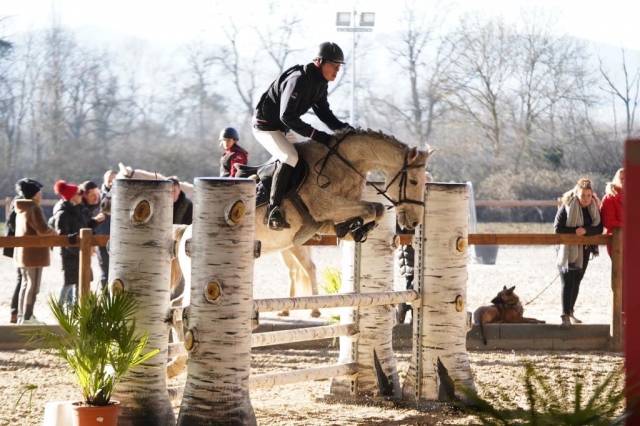 PONEY DE 9 ANS POUR AS A VENDRE 