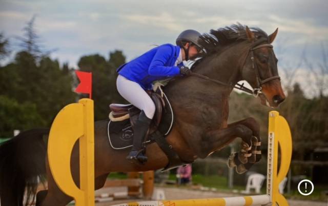 Cheval a prendre en dp 