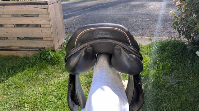 Selle Prestige Versaille