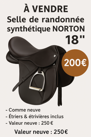Selle Norton randonnée 18” synthétique – État neuf –