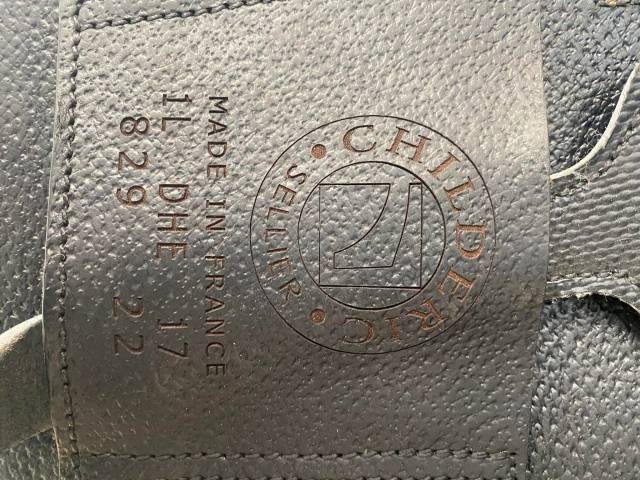 Dressage DHE Childeric 17’