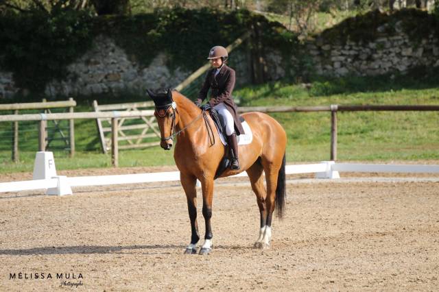 Dressage DHE Childeric 17’