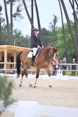 Cheval de 10ans