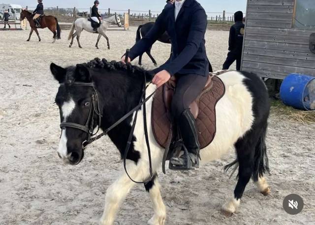 Poney à louer 