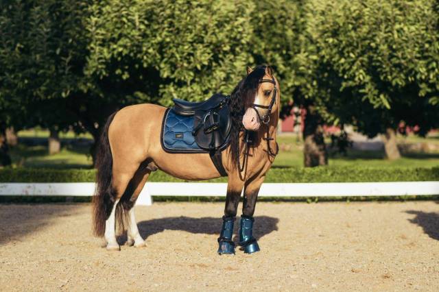 Tapis de selle Monaco Blue MIXTE - Equestrian Stockholm