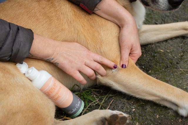 Soin régénérant sensitive zinc gel - Alodis care