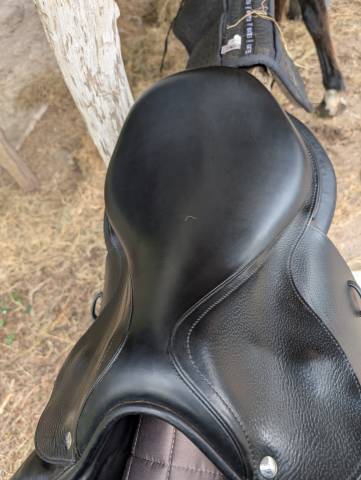 Selle CSO Séoul forestier 