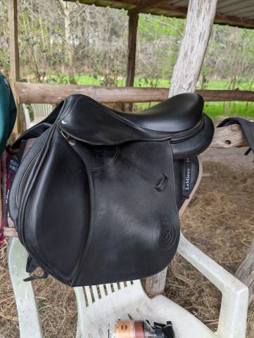 Selle CSO Séoul forestier 