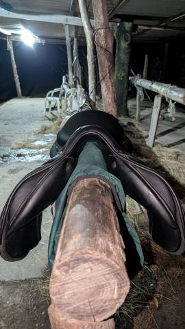 Selle CSO Séoul forestier 