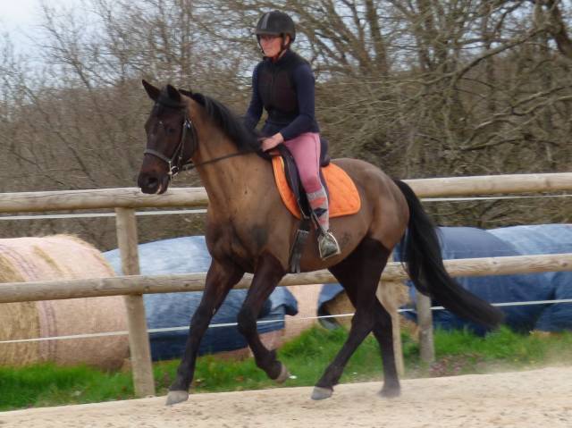 Cheval L'As