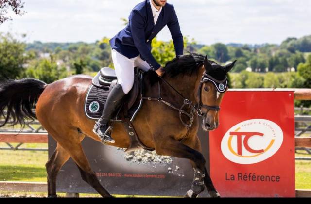 Jument top de concours