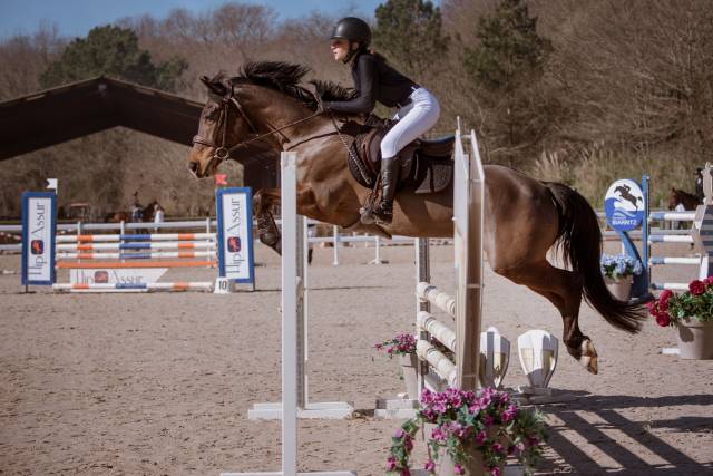 Magnifique Connemara de 11 ans – Idéal Amateur