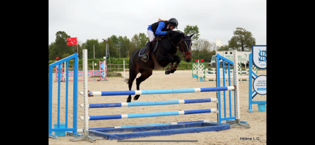 Ponette D 